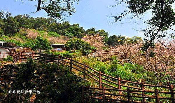 橘咖啡-24.JPG