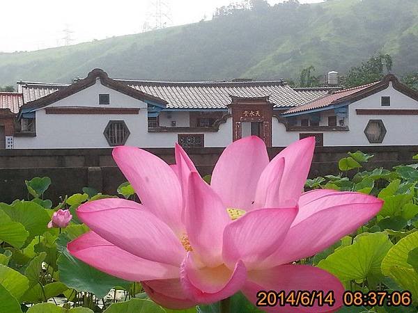  20140614_083706.jpg