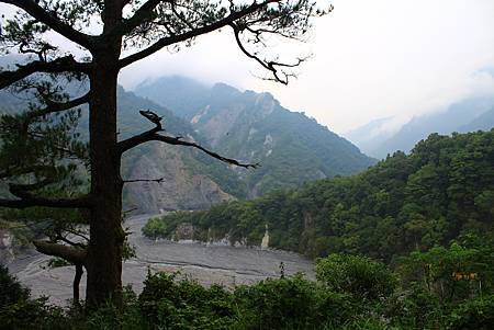 IMG_2764