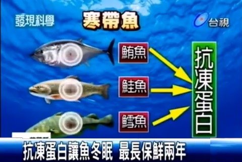 冷凍魚1