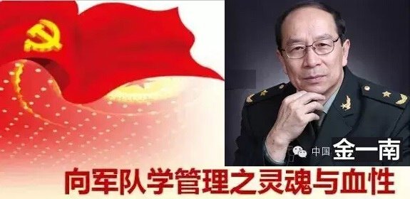 金一南