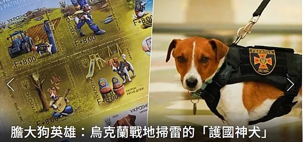 膽大狗英雄：烏克蘭偵爆犬「子彈」 戰地掃雷的護國神犬