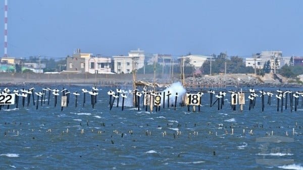 記者 王烱華：空軍在水溪靶場花19年建一棟樓　四大疏失連環爆