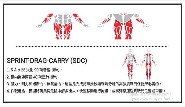 美國陸軍戰鬥體能測試A.C.F.T.