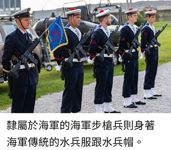 陳晞(法國外籍兵團退伍)：淺談法軍陸戰隊的編制