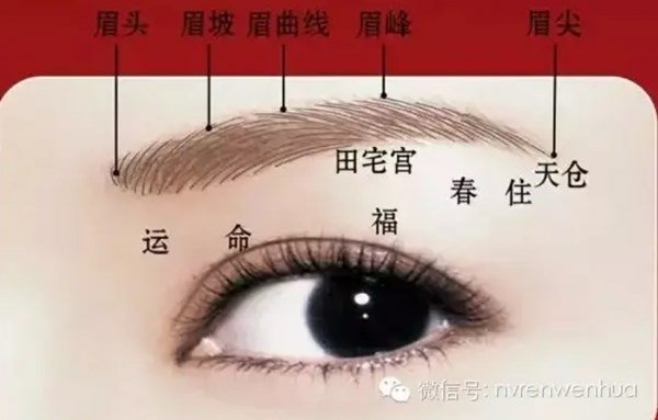 台中霧眉價格