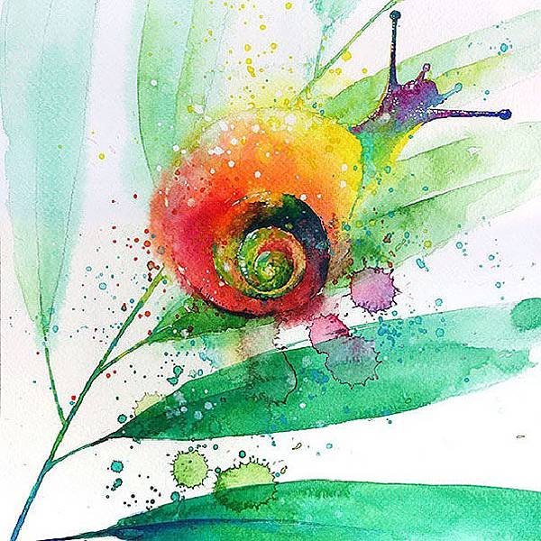 colorful-animal-watercolor-paintings-tilen-ti-6