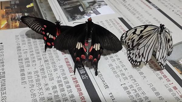 20170504_065347
