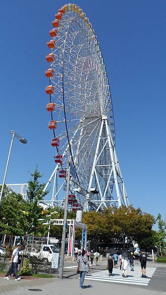 SAM_1181.JPG