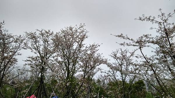 IMG_20150404_120913_HDR