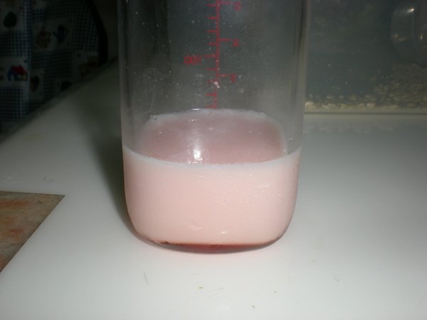 DSCN6397.JPG