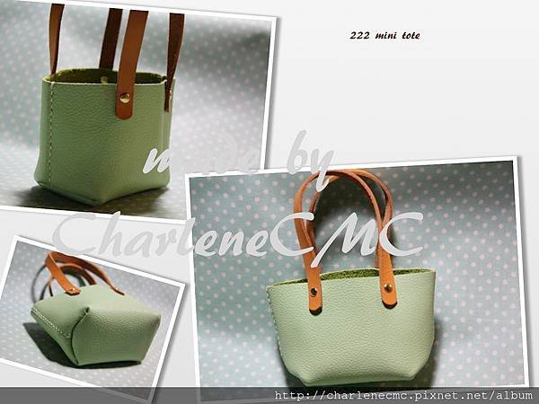 222 mini tote .jpeg