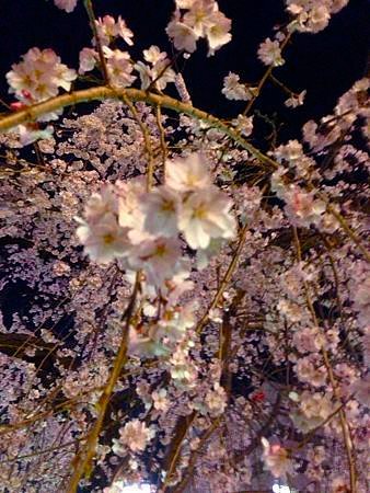 IMG_0068