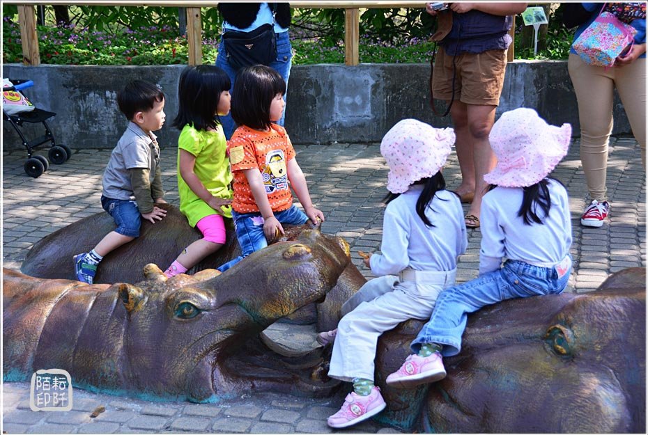 動物園的反思1.jpg