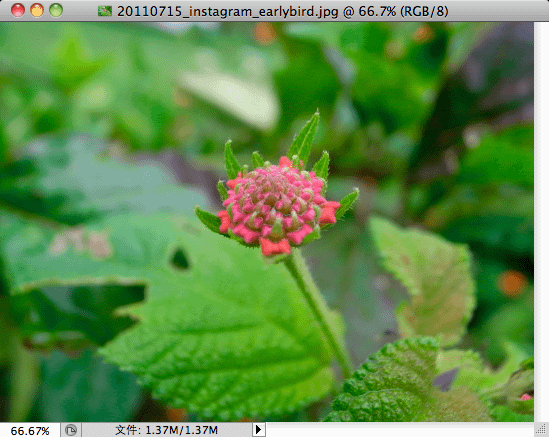 110715-0078.png