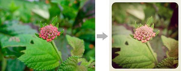 20110715_instagram_earlybird_compare.jpg