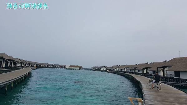 20160515_085144_meitu_53.jpg