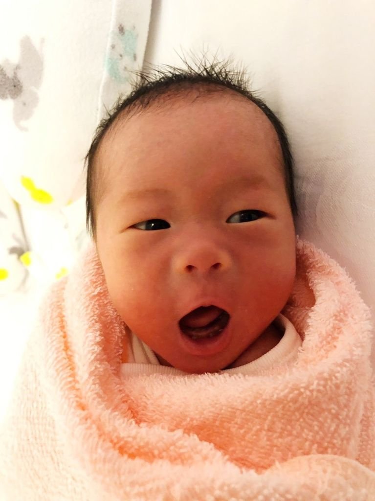 20190103 弄瓦之喜_190412_0077.jpg