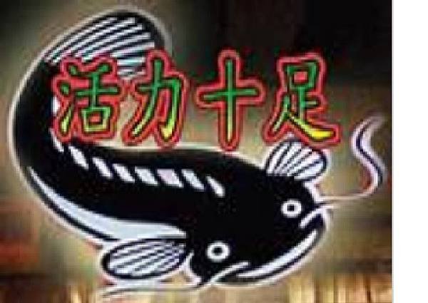 鯰魚