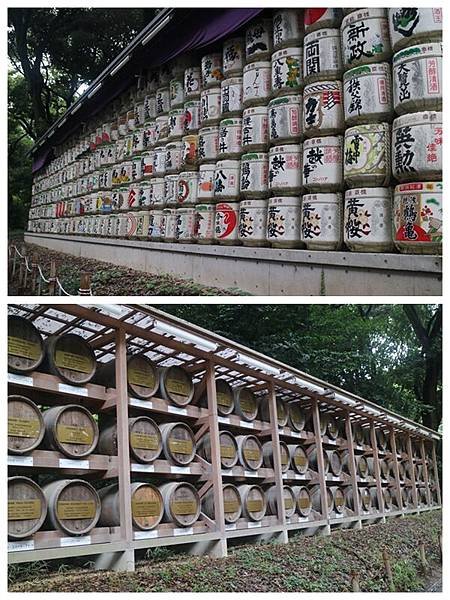 明治神宮3.jpg