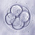 5960-1.jpg