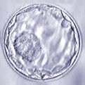 5960-3.jpg