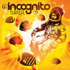 Goodbye To Yesterday - incogni