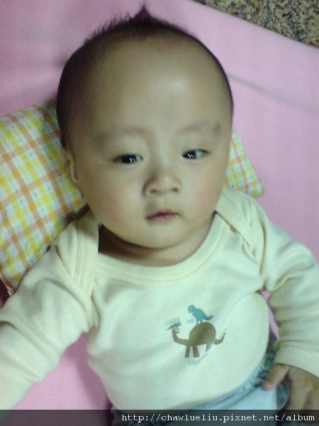 DSC01913.JPG