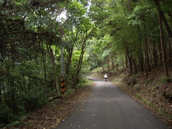 林道路況.JPG