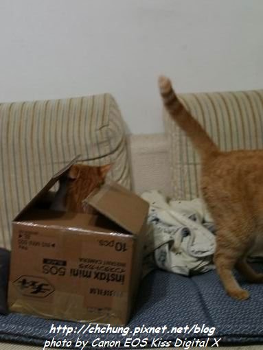 nEO_IMG_20101005_03.jpg