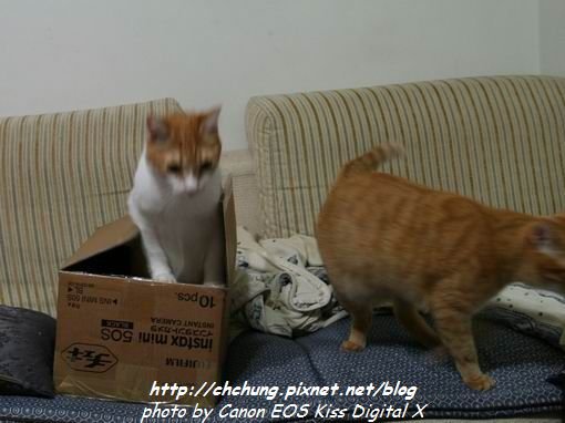 nEO_IMG_20101005_06.jpg