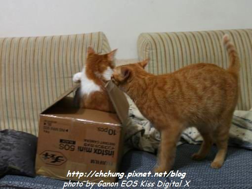 nEO_IMG_20101005_04.jpg