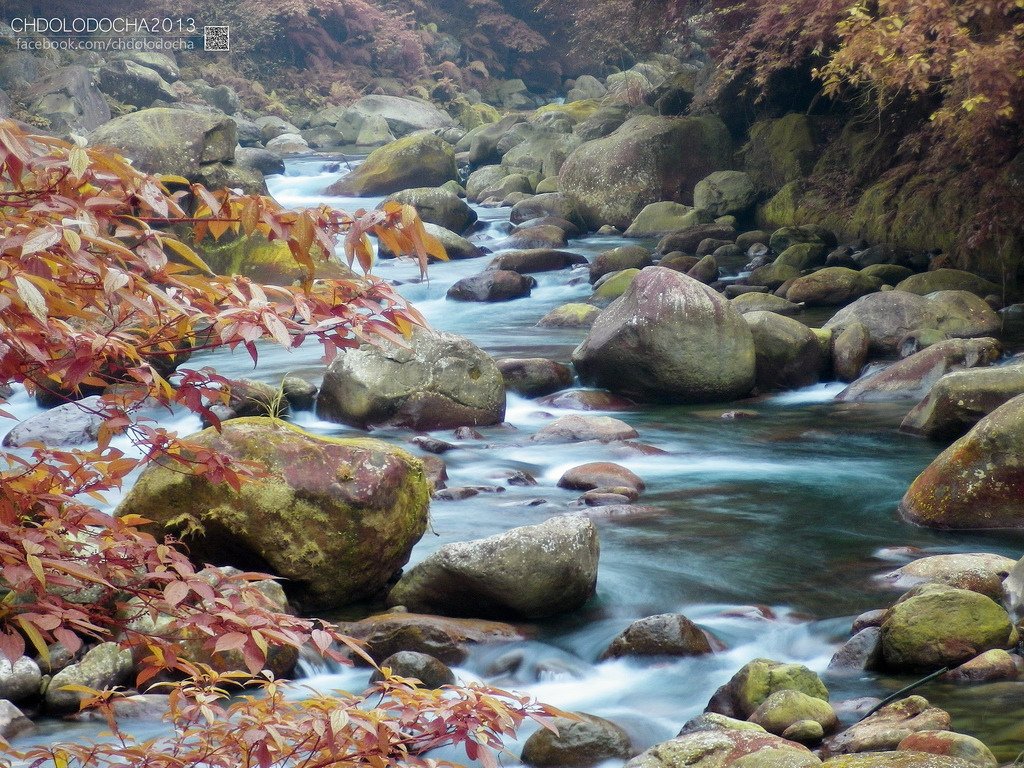 IMGP3391