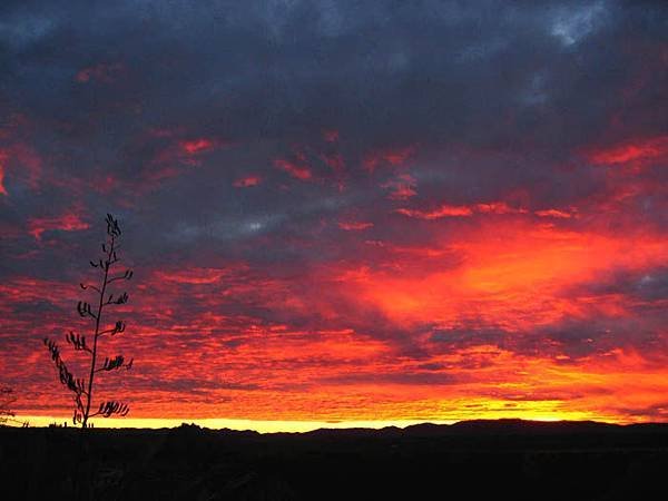 IMG_0310_2.JPG