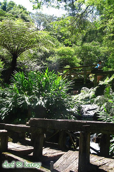 新-20100711惠蓀林場 070.jpg