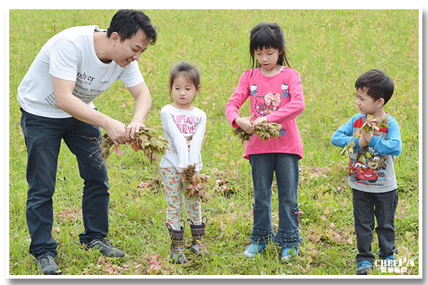 雙爸私廚CHEFPA紅藜疏苗 (16).png