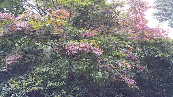 20170830_155417.jpg