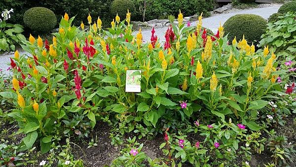 20170830_155330.jpg