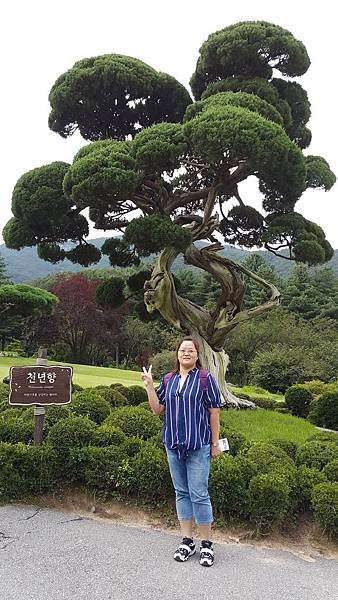 20170830_160540.jpg