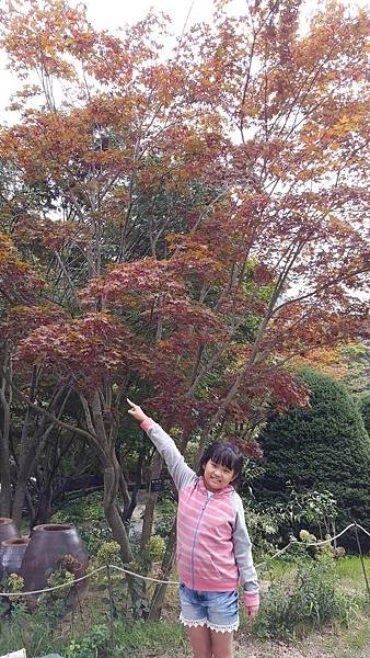 20170830_160929.jpg