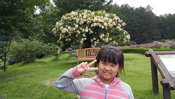 20170830_161023.jpg