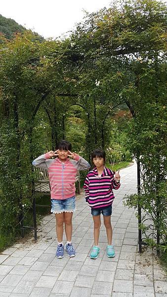 20170830_161800.jpg