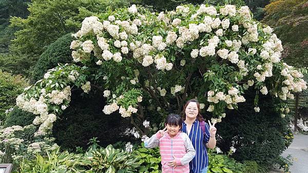 20170830_162117.jpg