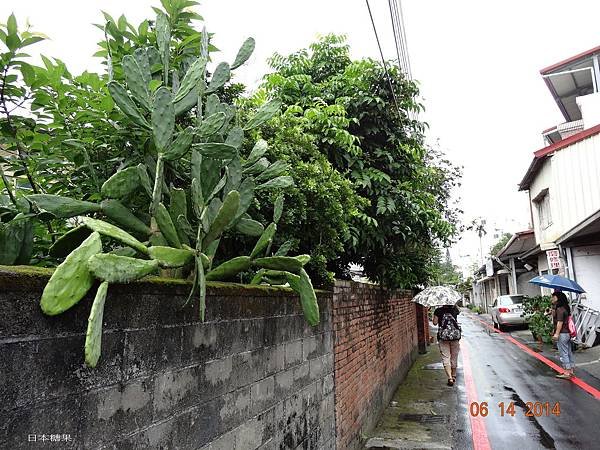 DSC03101.jpg