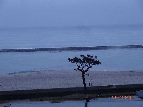 DSC04300.jpg