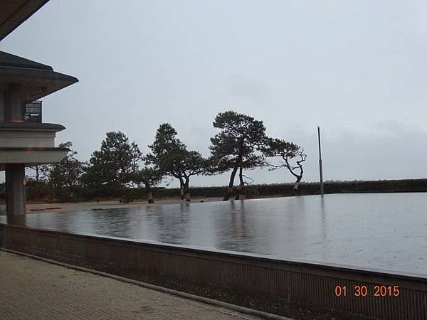 DSC04312.jpg