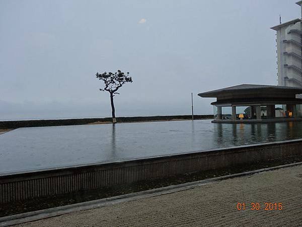 DSC04311.jpg