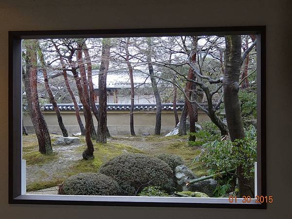 DSC04320.JPG