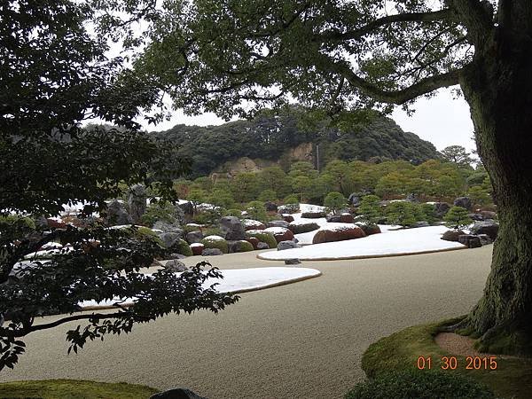 DSC04338.JPG