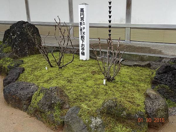 DSC04374.jpg